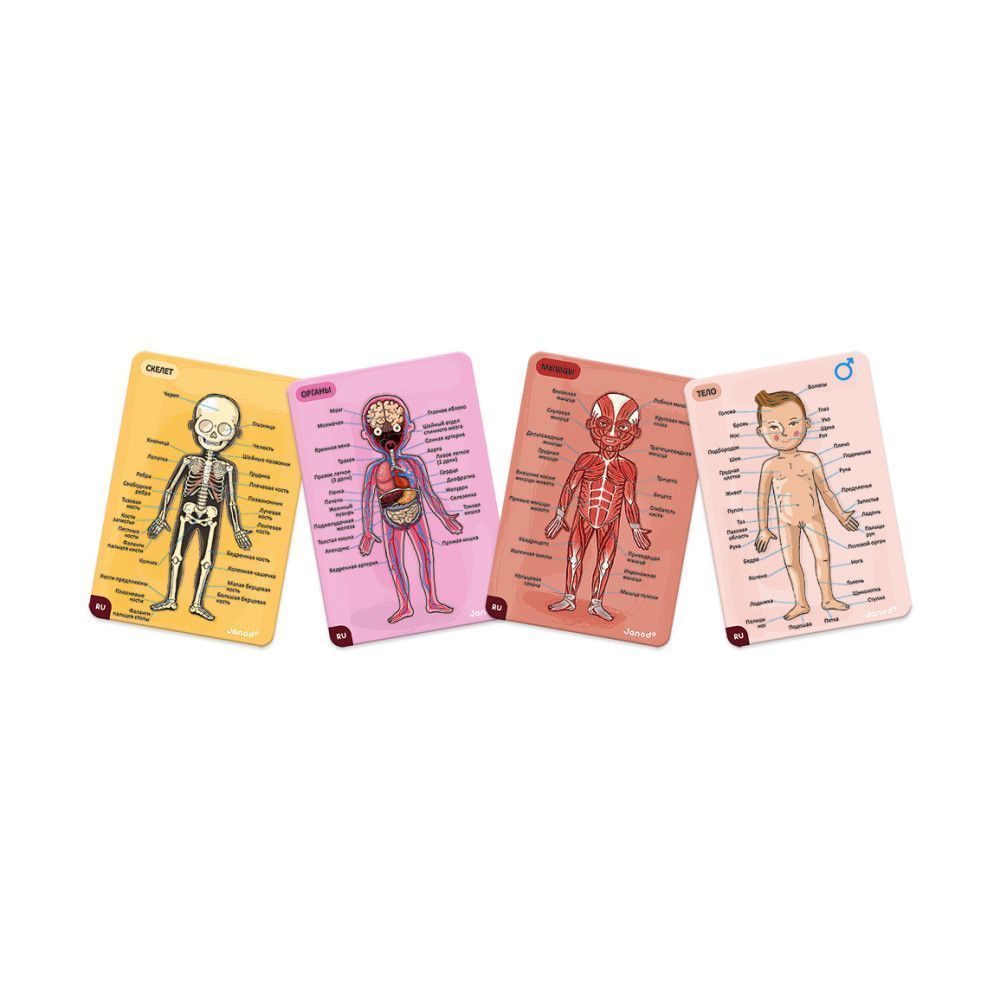 Карточки с магнитными пазлами Janod "Части тела"