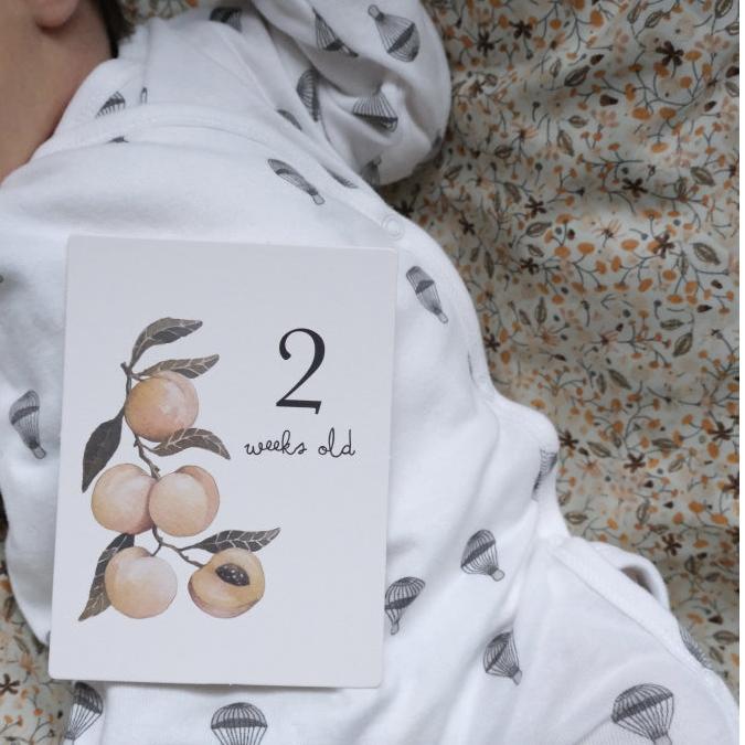 Набор карточек для фотосессии малыша по месяцам Konges Slojd "Milestones", мульти