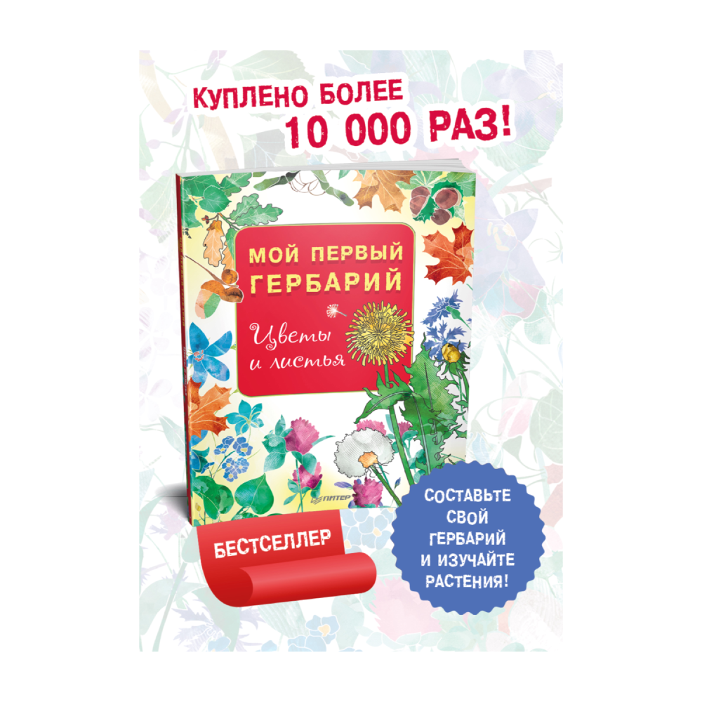 Книга "Мой первый гербарий. Цветы и листья" ПИТЕР - фото №4