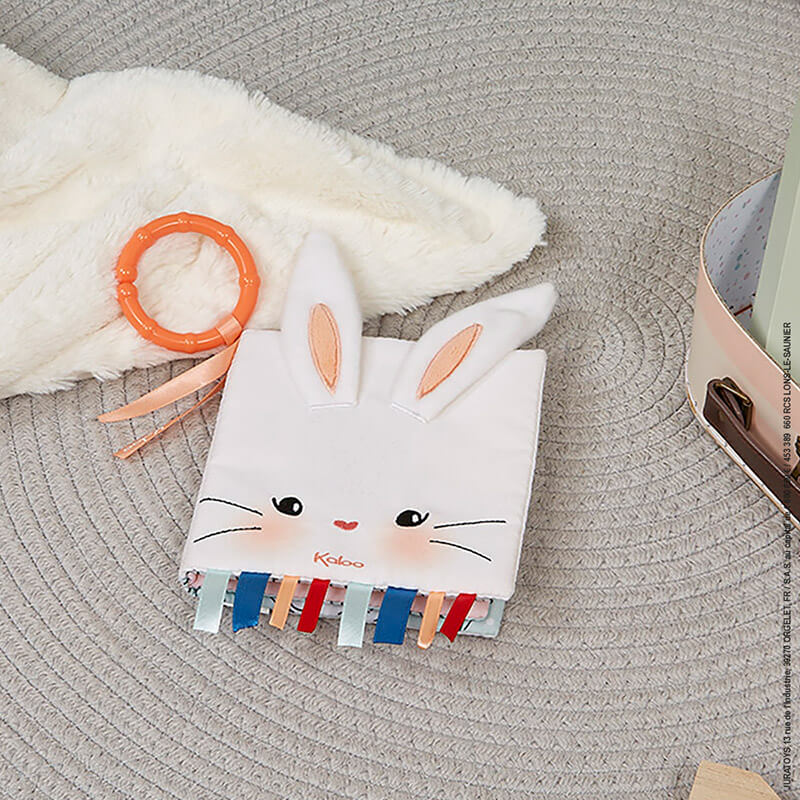 

Развивающие игрушки Kaloo, Текстильная книга Kaloo "Влюбленный кролик", серия "Livres d' Eveil", мульти, 14 см