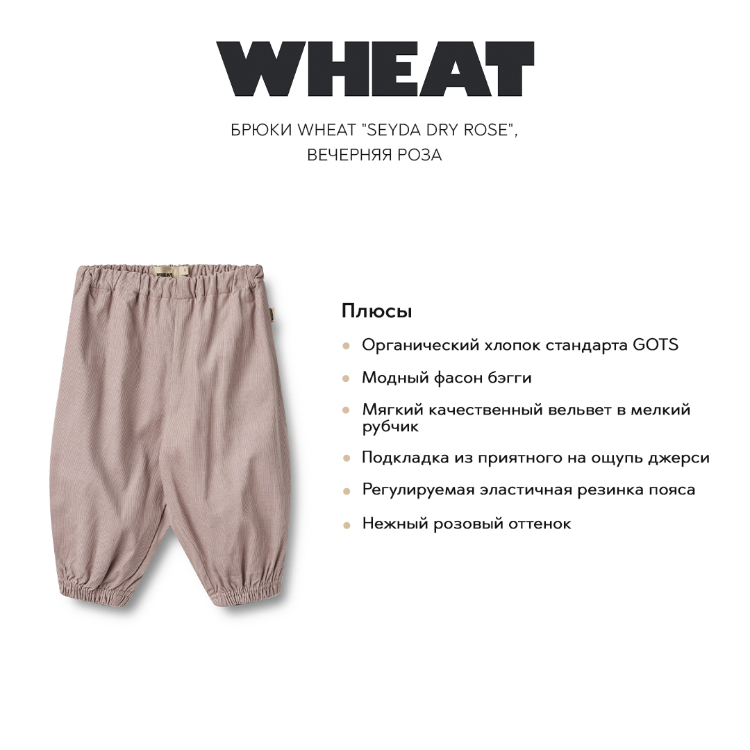 Штанишки Wheat 4333₽