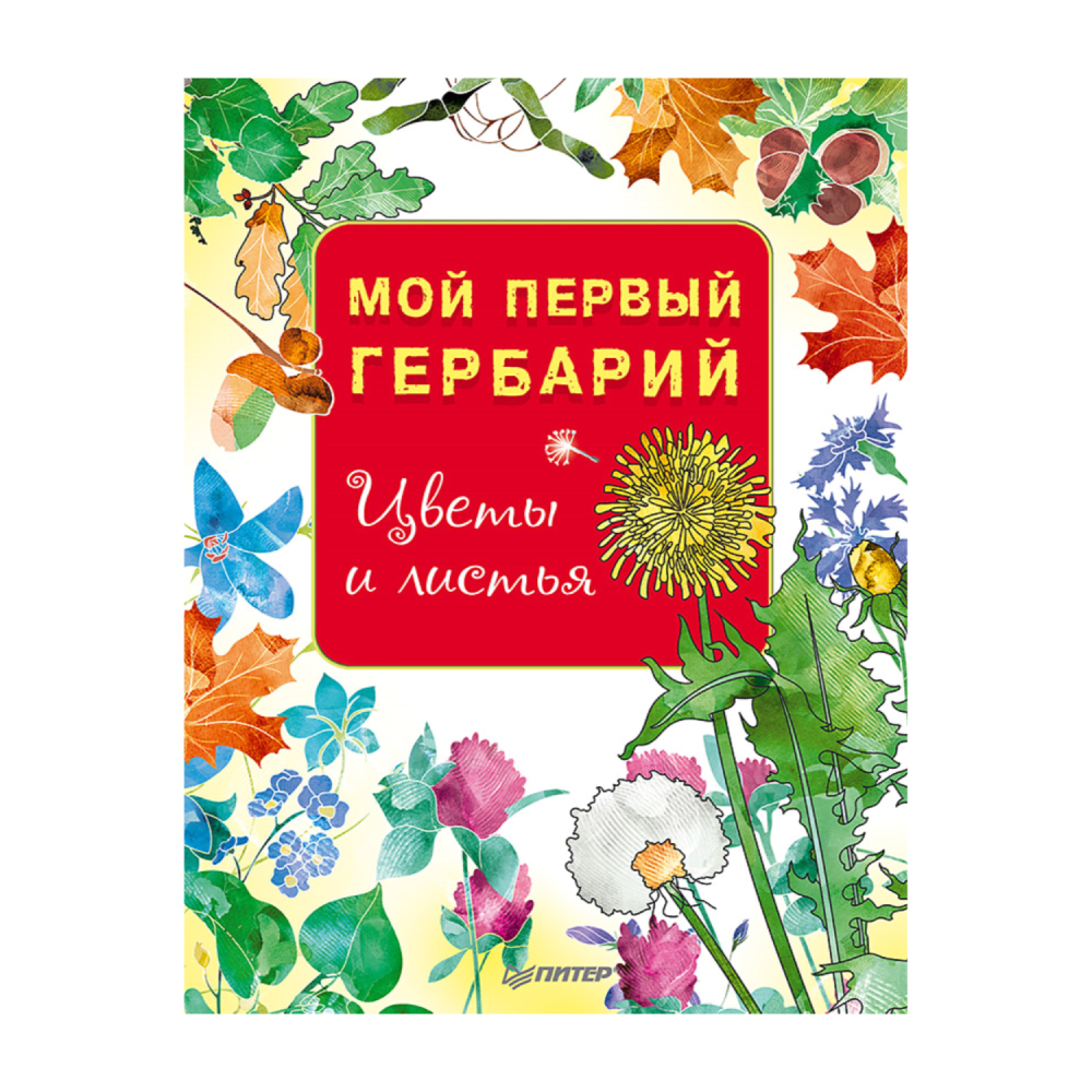 Книга "Мой первый гербарий. Цветы и листья" ПИТЕР - фото №1