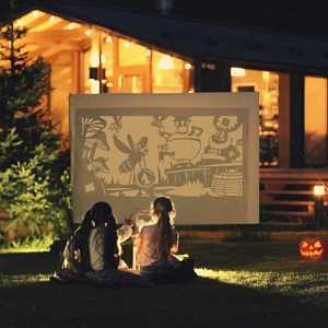 Книга-представление Театр теней "Муха-Цокотуха"