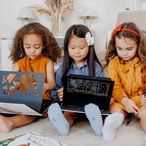 Книга-представление Театр теней "Муха-Цокотуха"