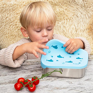 Ланч-бокс с разделителями Fresk "Наутилус", бирюзовый