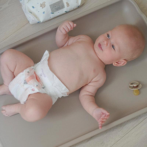 Контейнер для влажных салфеток Cam Cam Copenhagen "Blueberries", молочный