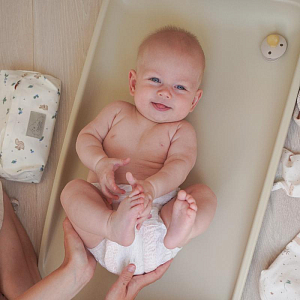 Контейнер для влажных салфеток Cam Cam Copenhagen "Blueberries", молочный