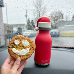 Бутылка-термос для напитков Asobu "Bestie Holiday", Санта, 460 мл