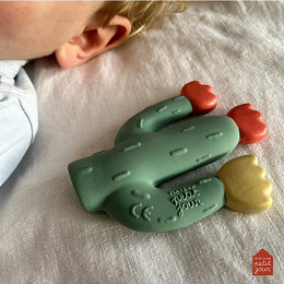 Игрушка резиновая для ванной Maison Petit Jour "Cactus", зеленая