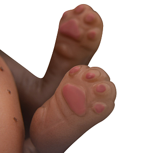 Игрушка Magic Manufactory "Щенок Чихуахуа", коллекция Животные, 15 см