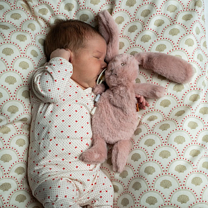 Плюшевая игрушка That's Mine "Кролик Houston Mini", розовый