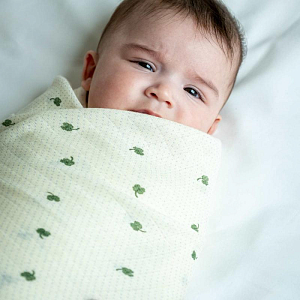 Пеленка муслиновая That's Mine "Jana Specks of Luck", четырехлистный клевер, 120 х 120 см