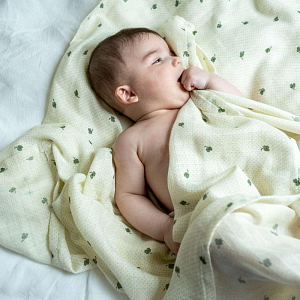 Пеленка муслиновая That's Mine "Jana Specks of Luck", четырехлистный клевер, 120 х 120 см