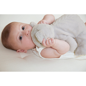 Мягкая игрушка Kaloo "Коала", серая, серия "Petit Songe", 26 см