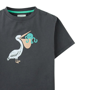 Футболка Джинджерснэпс (Gingersnaps) "Пеликан Элд", серая