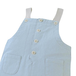 Полукомбинезон для малышей Джинджерснэпс (Gingersnaps) "Филип", голубой