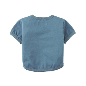 Футболка для малышей Джинджерснэпс (Gingersnaps) "Чалис", голубой туман