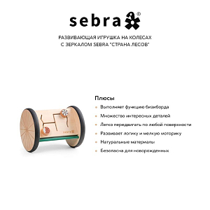 Развивающая игрушка на колесах с зеркалом Sebra "Страна лесов"