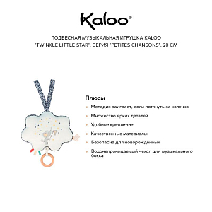 Подвесная музыкальная игрушка Kaloo "Twinkle Little Star", серия "Petites Chansons", 20 см