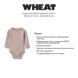 Боди для новорожденных Wheat "Berti Dry Rose", вечерняя роза