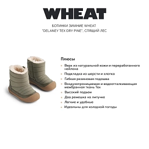 Ботинки зимние Wheat "Delaney Tex Dry Pine", спящий лес