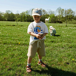 Бейсболка Wheat "Cecil Soft Sand", степной песок