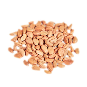 Развивающая игрушка-погремушка Kaloo "Слоненок Sound Animal", серия "Petites Chansons"