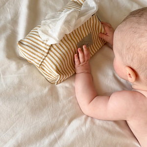 Контейнер для влажных салфеток Cam Cam Copenhagen "Oatfield", овсяные полоски