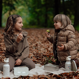 Ланч-бокс с разделителями Vanilla Copenhagen "Swandersen", теплый серый