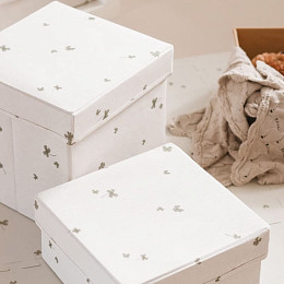 Ящик для хранения That's Mine "Clover Meadow", молочный, маленький