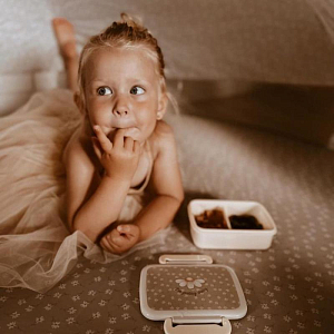 Ланч-бокс с разделителем Mrs. Ertha "Little Daisys", очарование маргариток