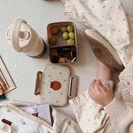 Ланч-бокс с разделителем Mrs. Ertha "Strawberries Mood", райские ягоды