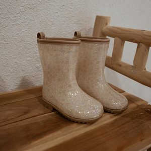 Сапоги резиновые Mrs. Ertha "Bouquet Silhouette Glitter", цветочный эскиз