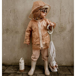 Сапоги резиновые Mrs. Ertha "Bouquet Silhouette Glitter", цветочный эскиз