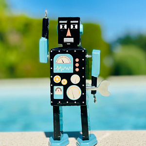 Робот-игрушка Mr&MrsTin "MetiarisBot"